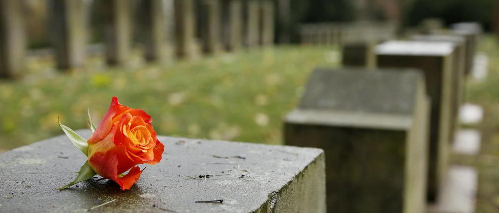 AfD-Vertreter legten einen Kranz auf dem Neuen Friedhof in Potsdam ab. Wenig später war er weg.