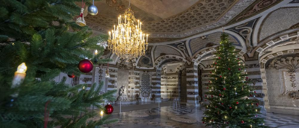 Zwei festlich geschmückte Weihnachtsbäume stehen im Grottensaal vom Neuen Palais.
