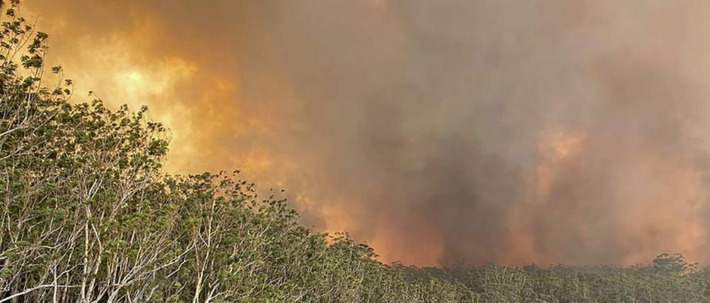 Schon seit Oktober 2019 wüten die Buschbrände in Australien. 