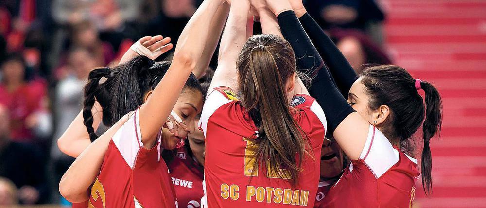 Eine geschlossene Einheit. 13 ihrer bisher 18 Bundesliga-Saisonpartien haben die Volleyballerinnen des SC Potsdam gewonnen. Das mit vielen jungen Spielerinnen bestückte Team glänzt durch großen Kampfgeist, enorme Durchschlagskraft und starken Zusammenhalt.