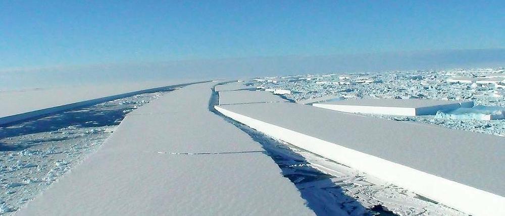 Abtrünnige Eismassen. Im März 2008 beobachteten Forscher der British Antarctic Survey das Herausbrechen großer Eisschollen aus dem Wilkins Eisschelf in der Antarktis. Klimaforscher befürchten nun, dass das dortige Klimasystem bereits gekippt sein könnte. Dadurch würde ein jahrhundertelanger Prozess der Eisschmelze starten.