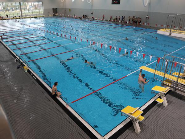 Die neue Schwimmhalle "blu" am Brauhausberg ermöglicht mehr Entfaltungsraum für Potsdams Schwimmszene.