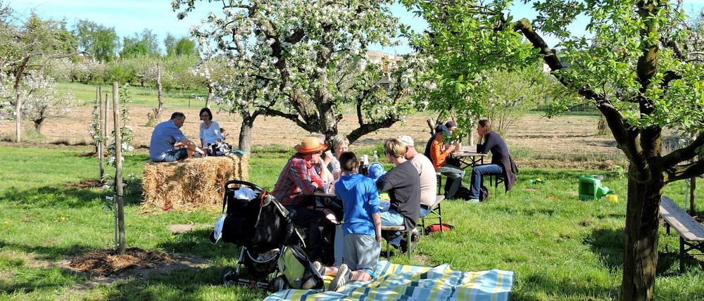 Unter Bäumen wie hier 2018 auf der Wiese des Vereins Zuckerbaum wsoll man auch 2020 wieder feiern können.