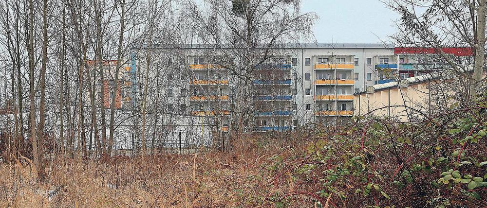 Der Bedarf wächst. Auf einem früheren Kaufhallen-Grundstück an der Albert-Wiebach-Straße in Teltow plant die städtische Wohnungsbaugenossenschaft TWG einen Neubaublock mit 50 neuen Wohnungen. Experten empfehlen der Stadt, weitere Grundstücke für den Wohnungsbau zu erwerben.