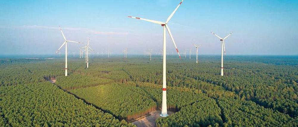 200 Meter hoch sind die Windräder, die sich bald auch schon über die Reesdorfer Heide erheben könnten. 