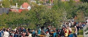 Viele Anlieger im Hohen Weg, direkt im Stadtzentrum von Werder, haben zum Baumblütenfest ihre Gärten geöffnet.