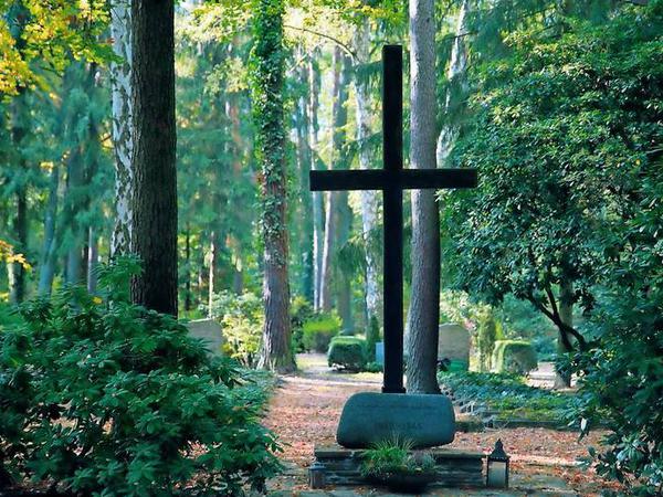 Auf dem 6,5 Hektar großen Waldfriedhof in Kleinmachnow befinden sich 204 Kriegsgräber. In der Mitte steht ein Holzkreuz.