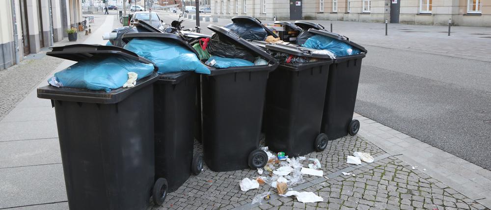 Müll in der Potsdamer Innenstadt.