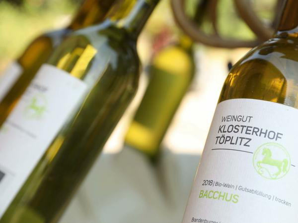 Die Wolenskis pressen aus den Trauben ihres Weinbergs 20.000 Flaschen Wein pro Jahr.