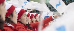 Bei den Winterspielen in Pyeongchang 2018 ging Nordkorea zum Teil gemeinsam mit dem Süden an den Start - etwa in einem Eishockeyteam bei den Frauen.